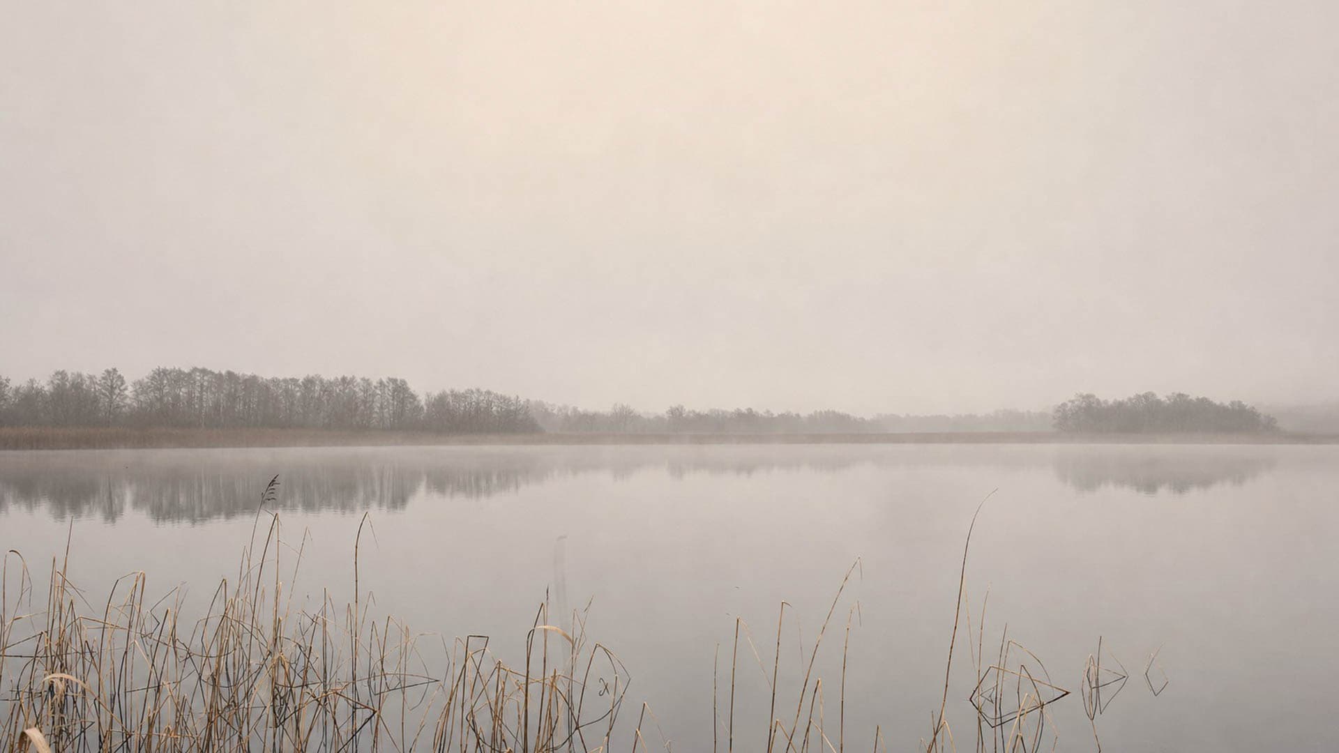 Mecklenburg lake at dawn, still water under thin mist