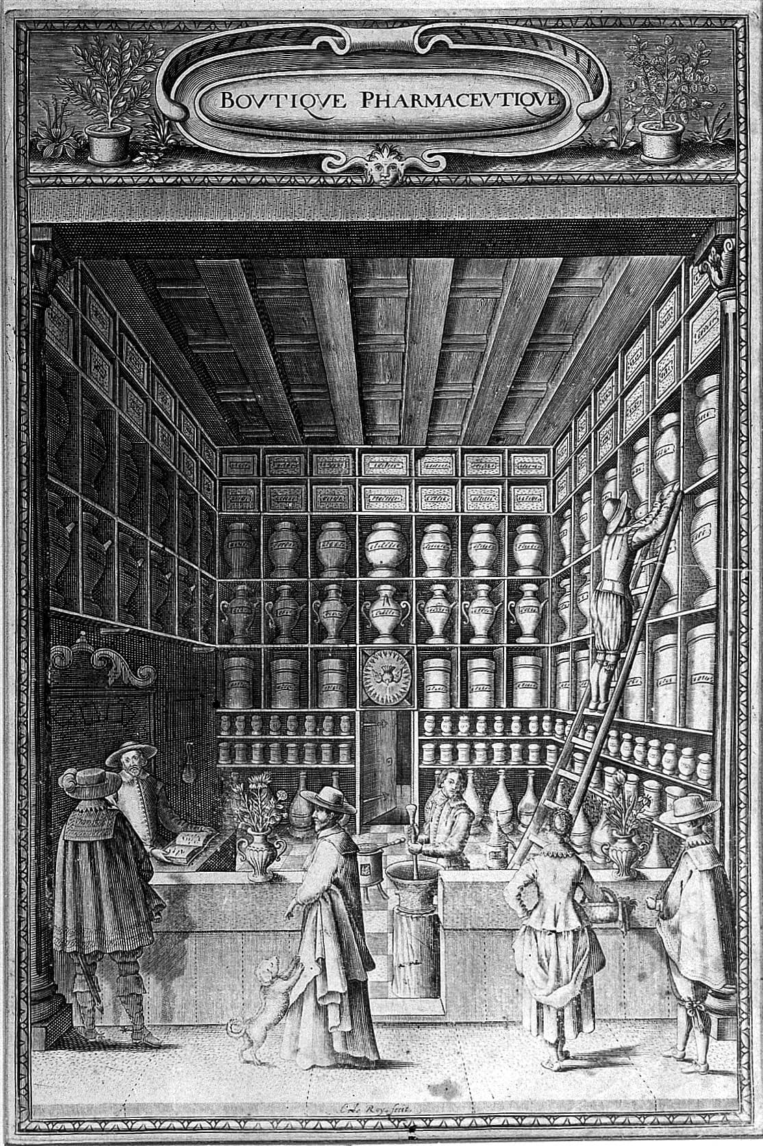 Seventeenth-century engraving of an apothecary shop lined with labelled jars
